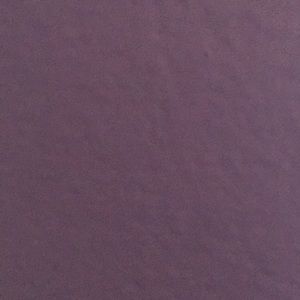 Meet your Posher, Liana